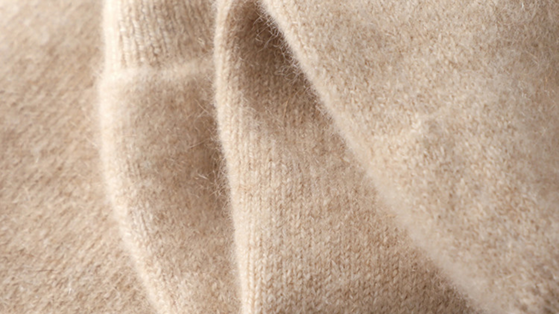 cashmere sweater